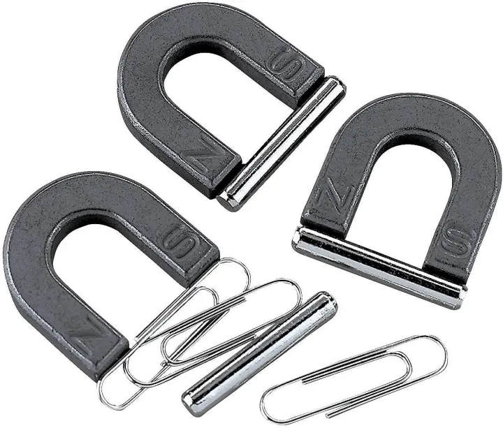 12-Piece Mini Horseshoe Magnet Kit for Kids — Educational Magnet Set