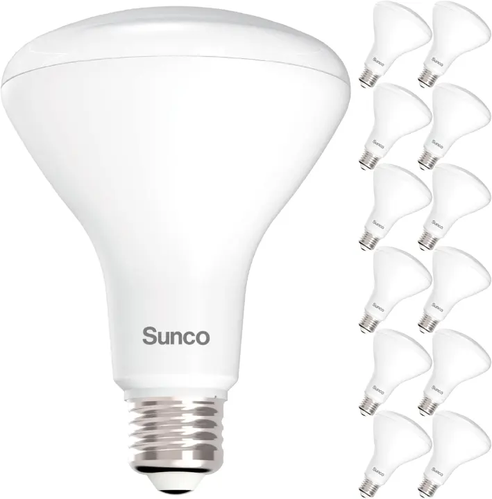 BR30 LED Flood Bulbs 12-Pack — E26, 11W (65W equiv), 5000K Daylight