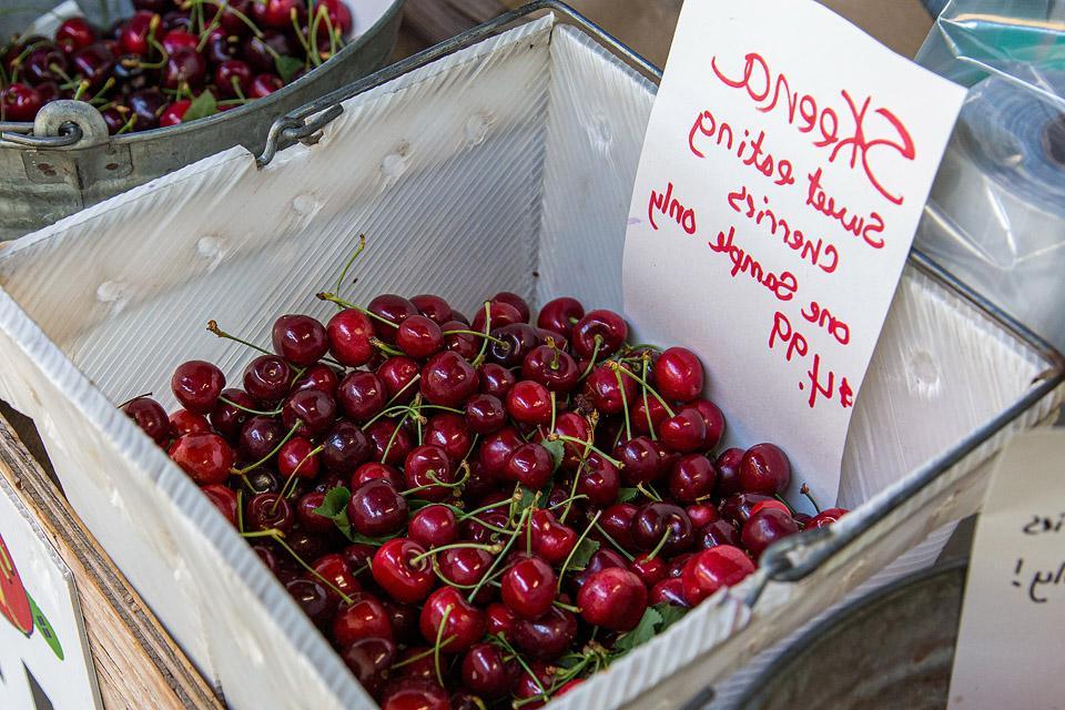 Η food blogger Bella Bucchiotti της xoxoBella μοιράζεται πληροφορίες για την εποχή των κερασιών στην BC και WA και τον καλύτερο τρόπο επιλογής κερασιών.