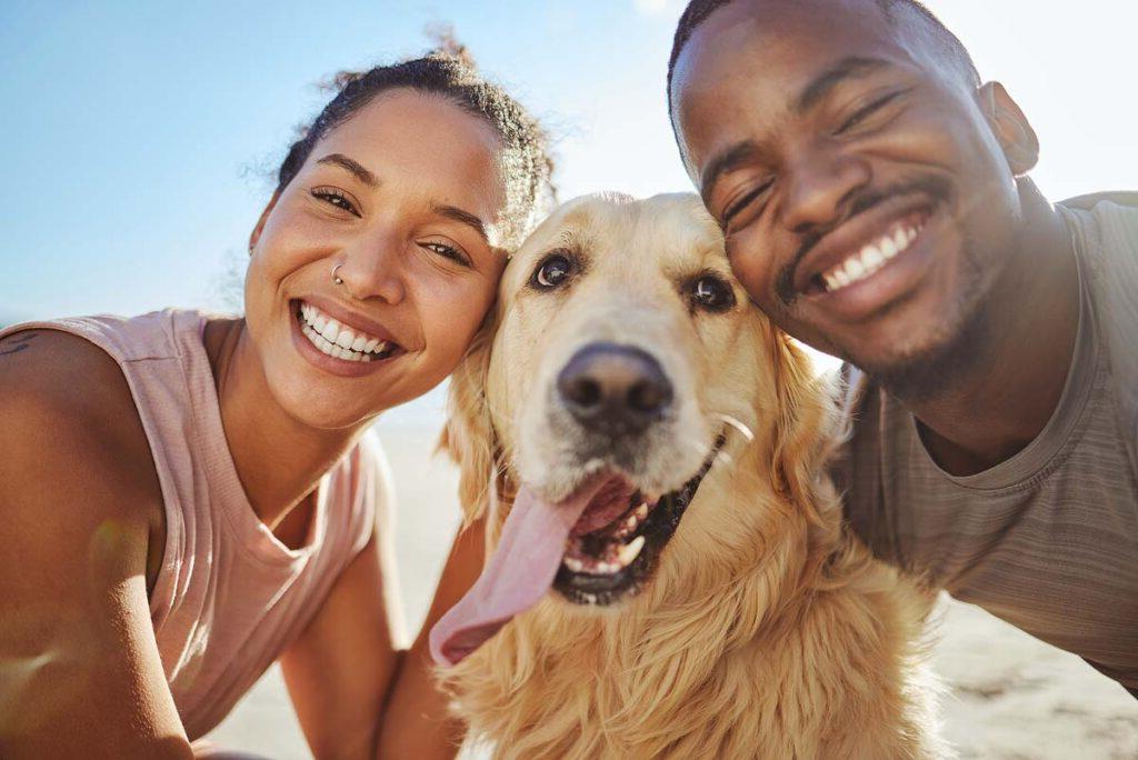 Face, dog and love with a black couple on the beach during summer walking their pet for fun or recreation together.