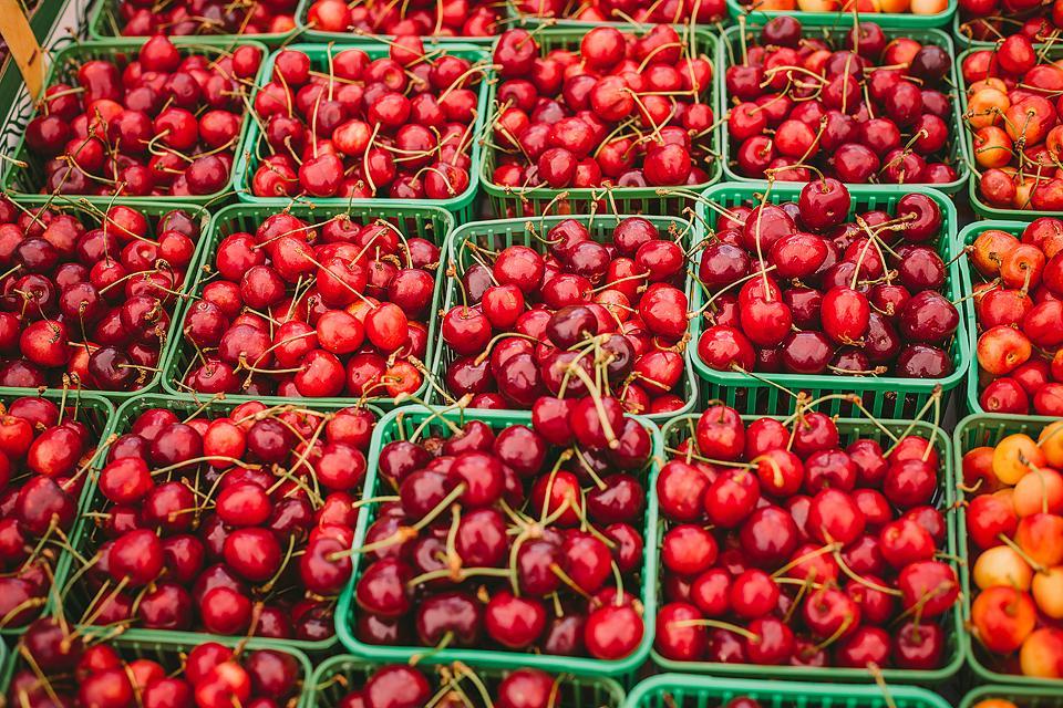 Η food blogger Bella Bucchiotti της xoxoBella μοιράζεται πληροφορίες για την εποχή των κερασιών στην BC και WA και πώς να μαζέψει κεράσια.