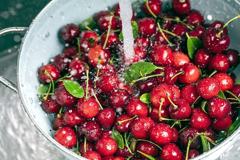 Η food blogger Bella Bucchiotti της xoxoBella μοιράζεται πληροφορίες για την εποχή των κερασιών στην BC και WA και πώς να μαζέψει κεράσια.