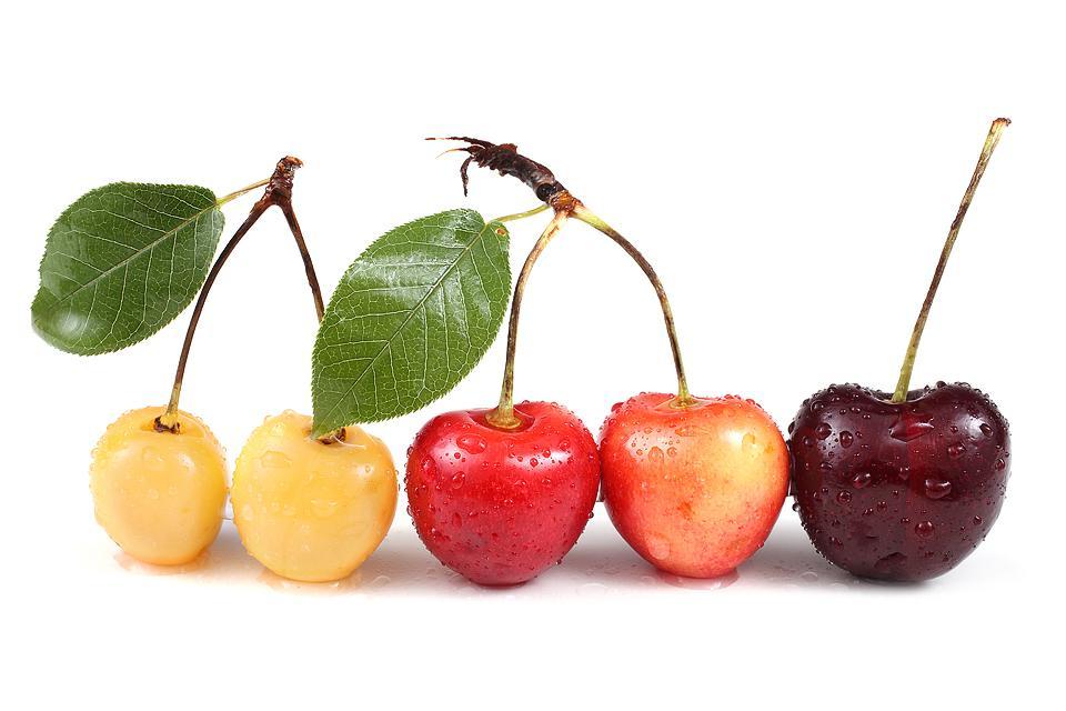 Η food blogger Bella Bucchiotti της xoxoBella μοιράζεται πληροφορίες για την εποχή των κερασιών στην BC και WA και έναν οδηγό για τα κεράσια. Θα λατρέψετε αυτές τις συμβουλές για τη συλλογή κερασιών.