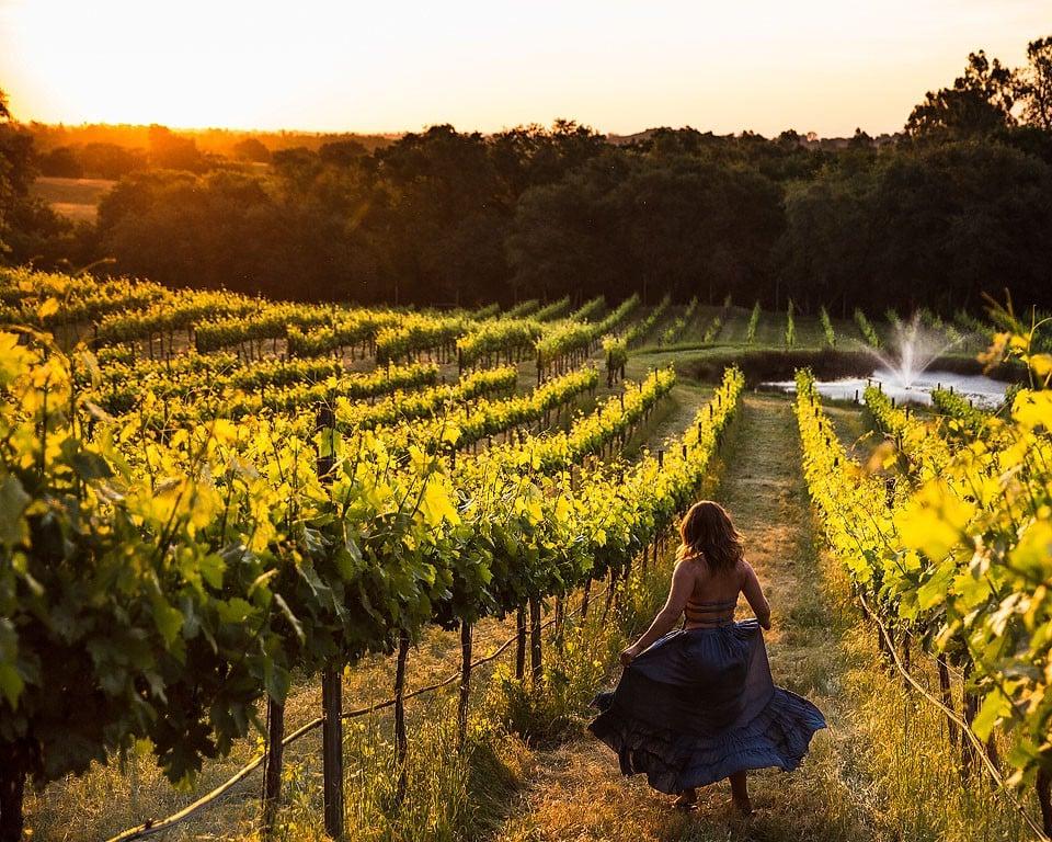 Δείπνο γευσιγνωσίας στο PaZa Winery στην Κομητεία Πλάσερ.