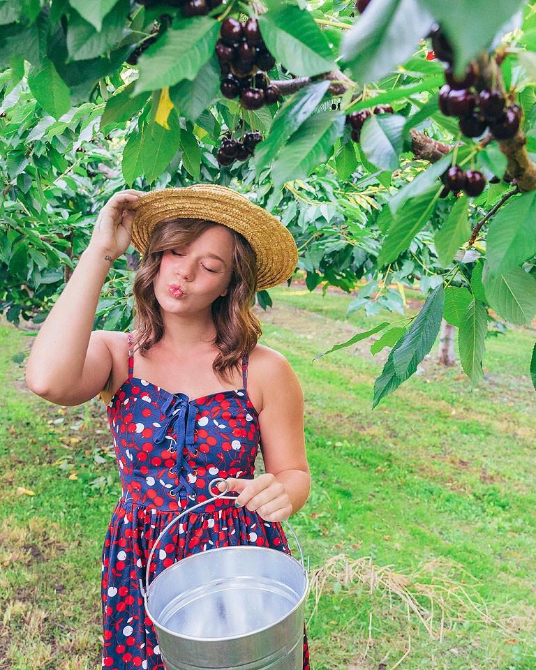 Η food blogger Bella Bucchiotti της xoxoBella μοιράζεται πληροφορίες για την εποχή των κερασιών στην BC και WA και πώς να μαζέψει κεράσια.