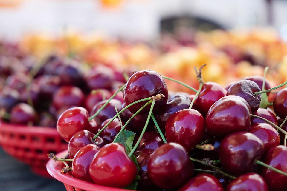 Η food blogger Bella Bucchiotti της xoxoBella μοιράζεται πληροφορίες για την εποχή των κερασιών στην BC και WA και έναν οδηγό για τα κεράσια. Θα λατρέψετε αυτές τις συμβουλές για τη συλλογή κερασιών.