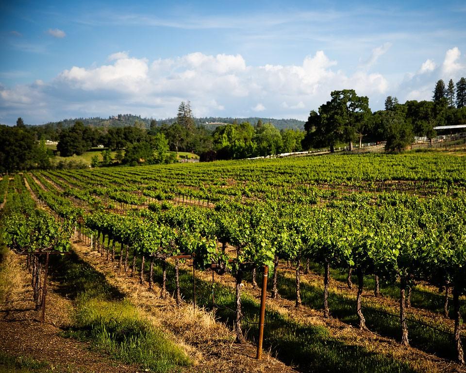 Ειδικό δείπνο στα Ironstone Vineyards στην Καλιφόρνια.