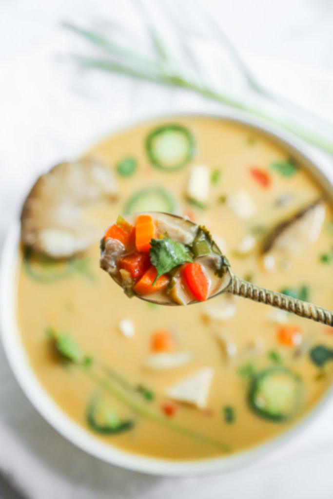 Βίγκαν Τομ Κα Γκάι – Χαμηλό σε FODMAP & Θεραπευτικό 3 vegan low fodmap tom kha gai