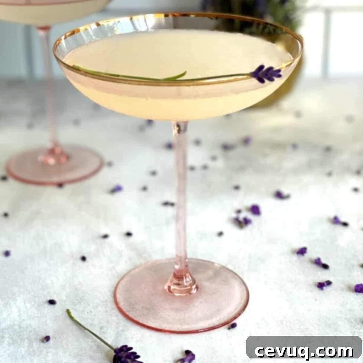 featured 15490