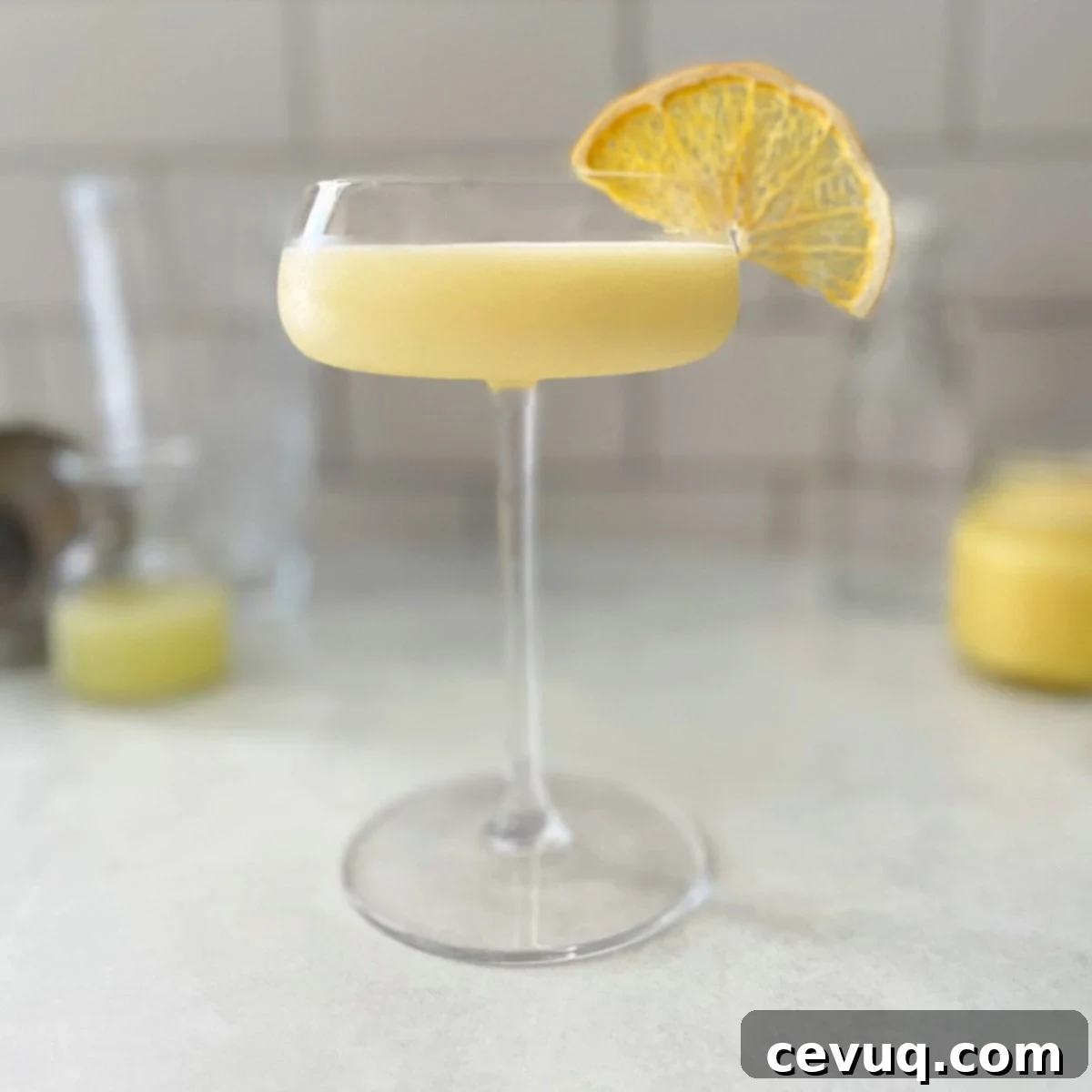featured 5619