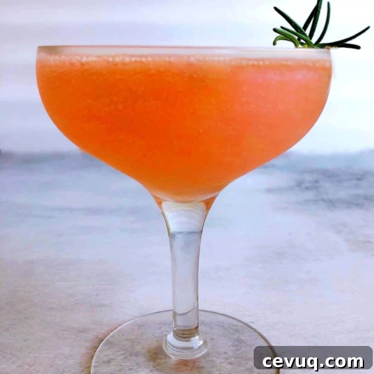 Τζιν Γκρέιπφρουτ 2 rosemary gin cocktail in a coupe