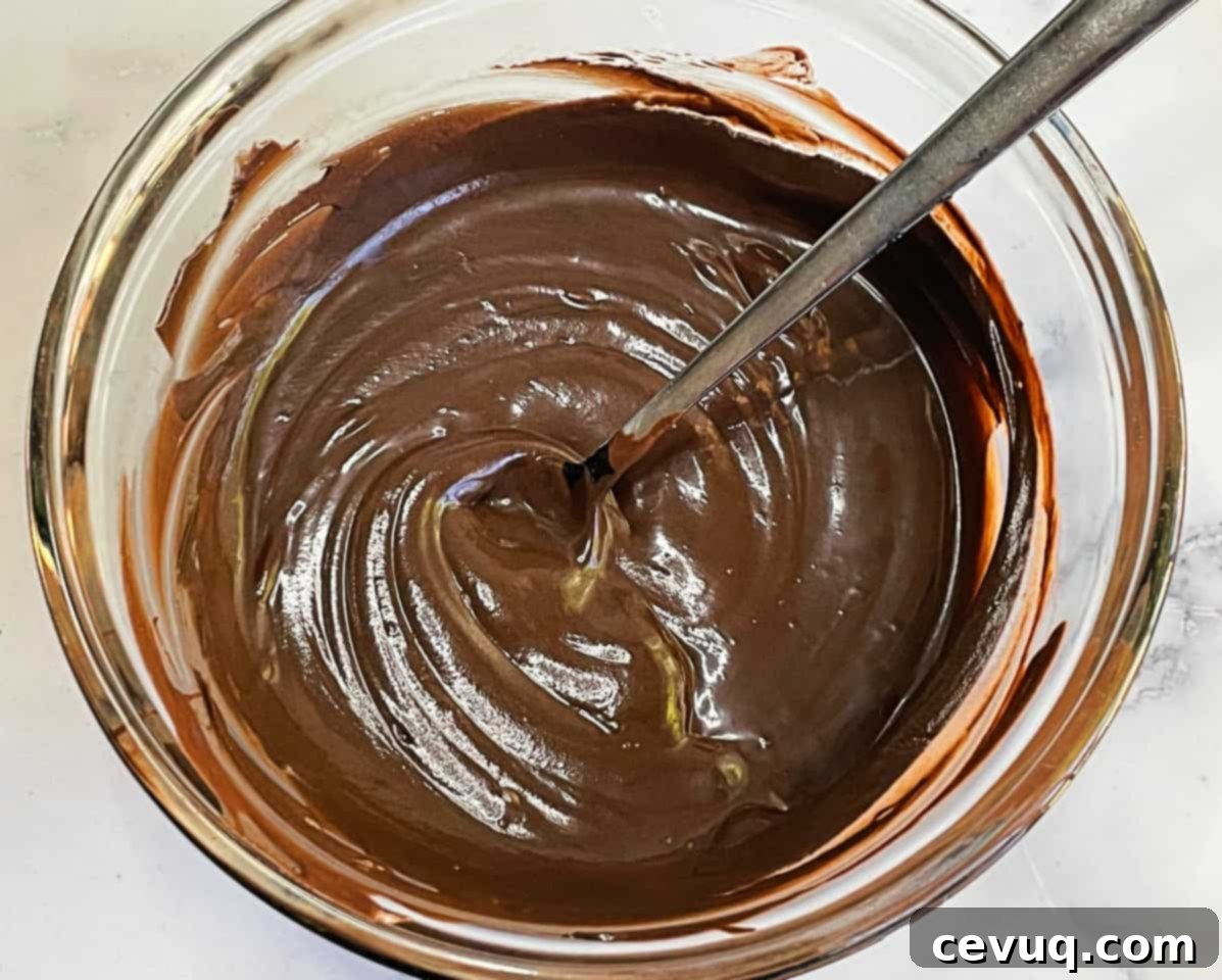 Μπέιλις Μίνι Τσίζκεϊκς Χωρίς Ψήσιμο 7 λιωμένη λευκή σοκολάτα σε μπολ.