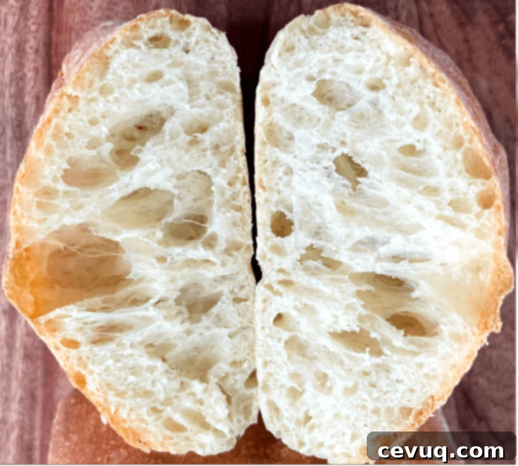 Εύκολα Ψωμάκια Τσιαπάτα 3 homemade ciabatta roll cut in half.