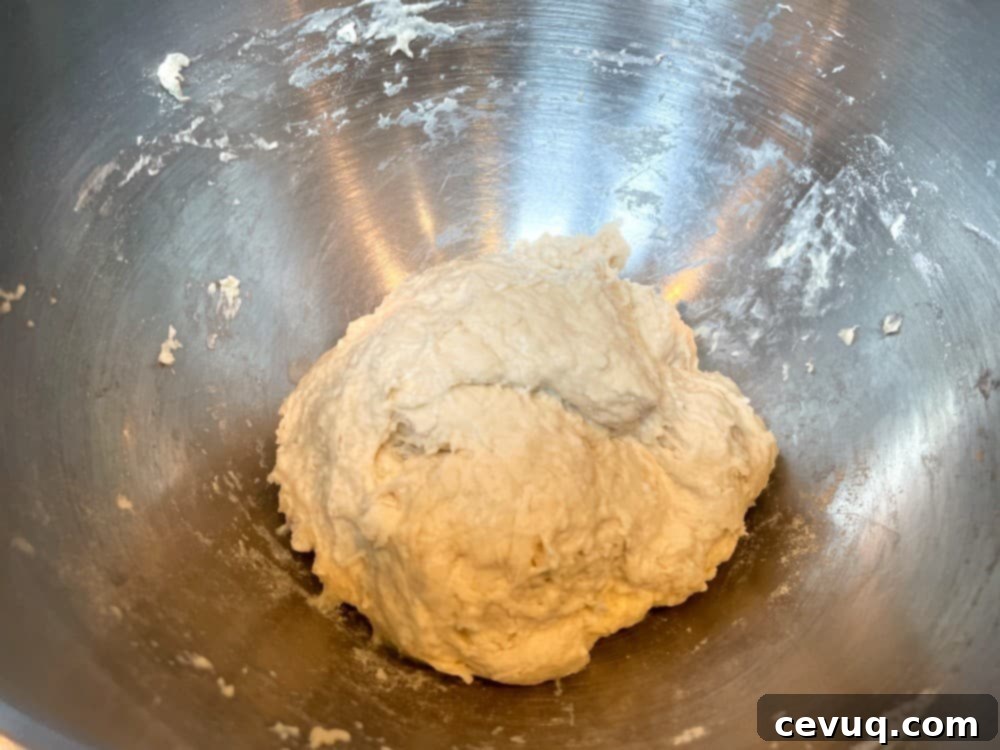 Εύκολα Ψωμάκια Τσιαπάτα 6 starting shaggy dough for ciabatta.