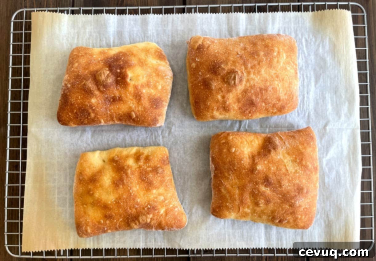 Εύκολα Ψωμάκια Τσιαπάτα 10 baked ciabatta rolls on a cooling rack.