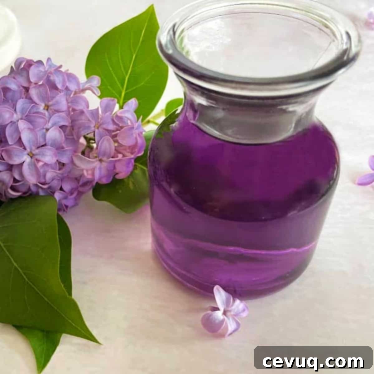 Απλό σιρόπι πασχαλιάς 2 Σιρόπι πασχαλιάς σε μπουκάλι και φρέσκα άνθη πασχαλιάς