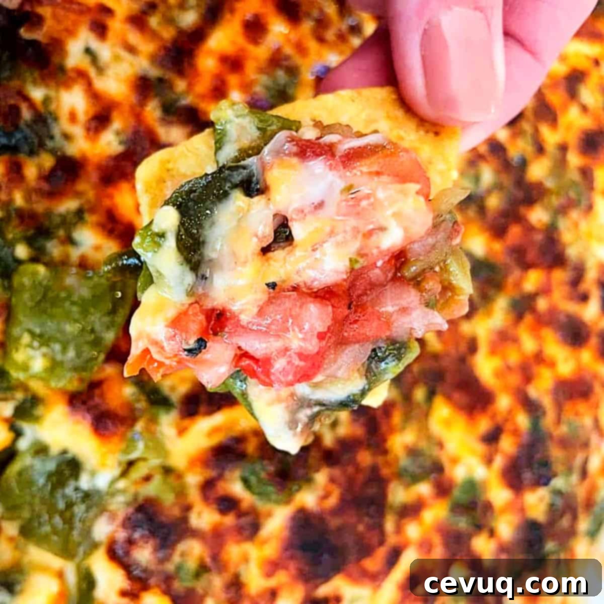 Πιπερότυρο Ντιπ 2 chile relleno dip