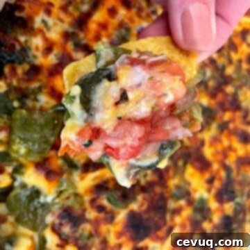 Πιπερότυρο Ντιπ 8 chile relleno dip on a chip