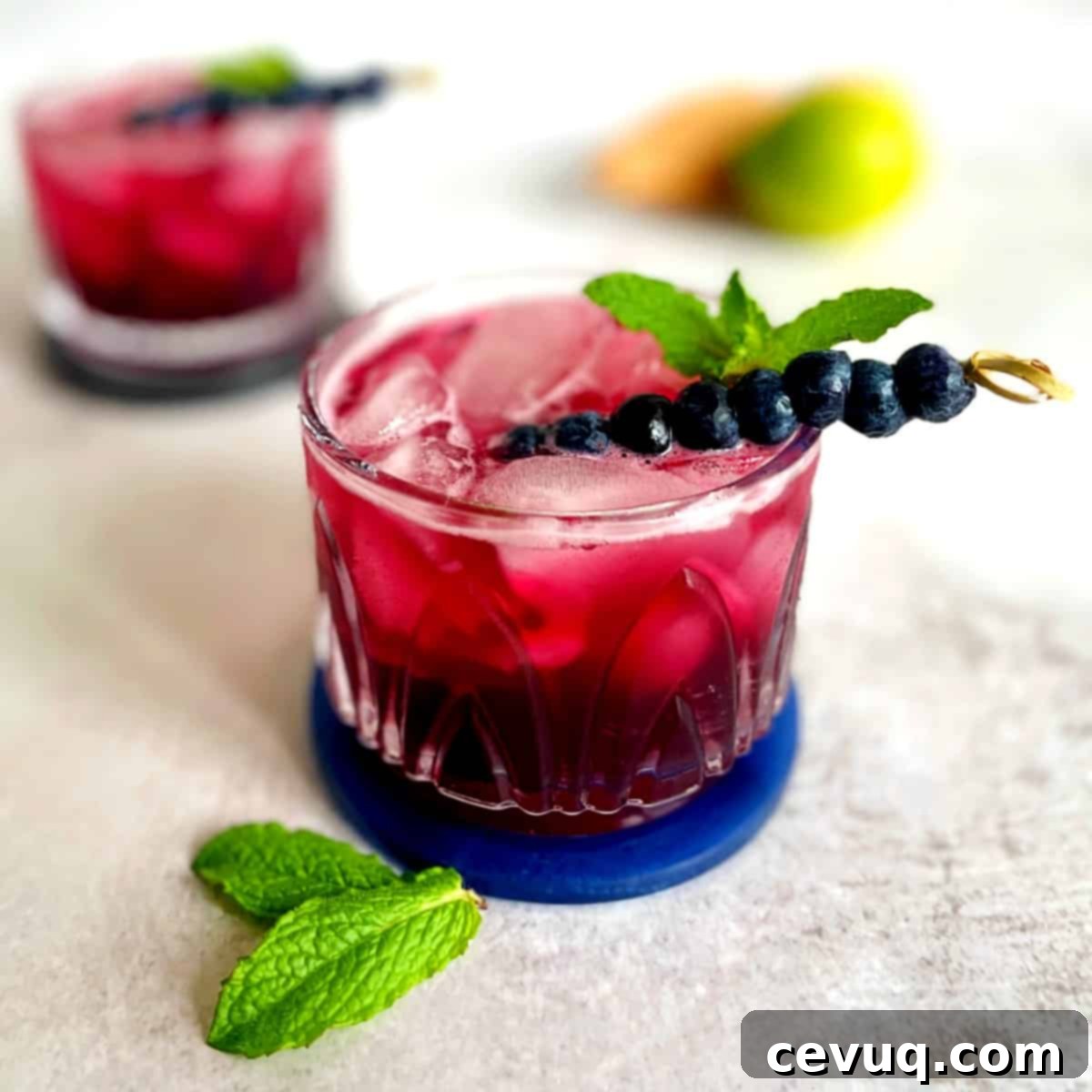 Τζιν Τόνικ με Μύρτιλο 2 Gin and Tonics με μύρτιλο και φρέσκα φρούτα