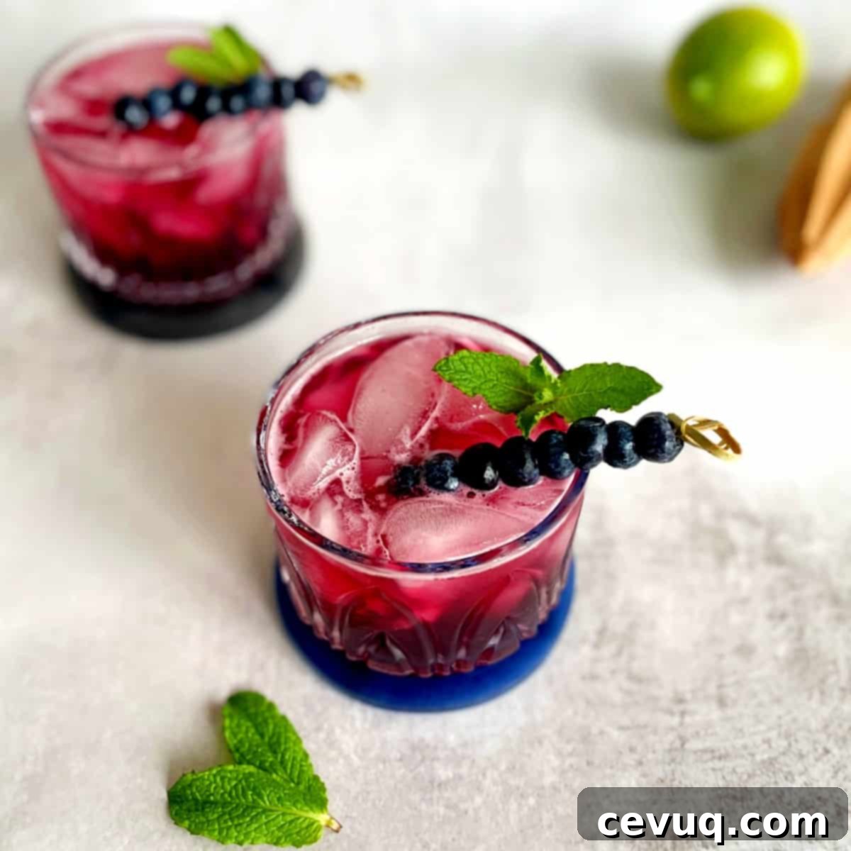 Τζιν Τόνικ με Μύρτιλο 3 Gin and Tonic με μύρτιλο και φρέσκα μύρτιλα