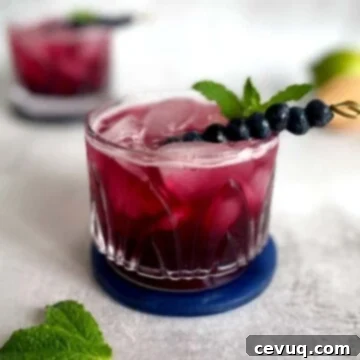 Τζιν Τόνικ με Μύρτιλο 6 Gin and Tonic με μύρτιλο και γαρνιτούρα μύρτιλου.