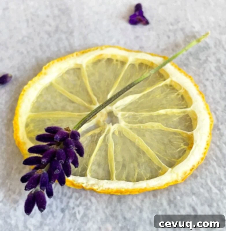 Λεβάντα Λεμονάτη Σταγόνα 3 a dehydrated lemon slice and a fresh lavender sprig