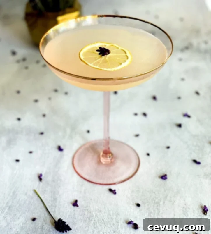 Λεβάντα Λεμονάτη Σταγόνα 6 lavender lemon drop with a dehydrated lemon and lavender garnish