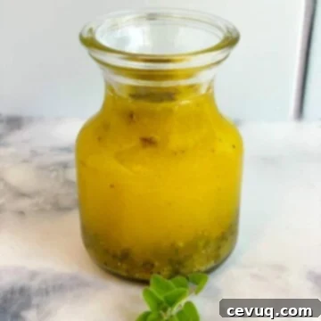 Λεμονάτη Βοτανική Σάλτσα Σαλάτας 5 ελληνική σάλτσα λεμονιού για σαλάτα