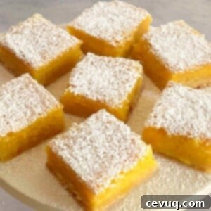 Εύκολες Μπάρες Μαρικούγιας 9 passion fruit bars with powdered sugar