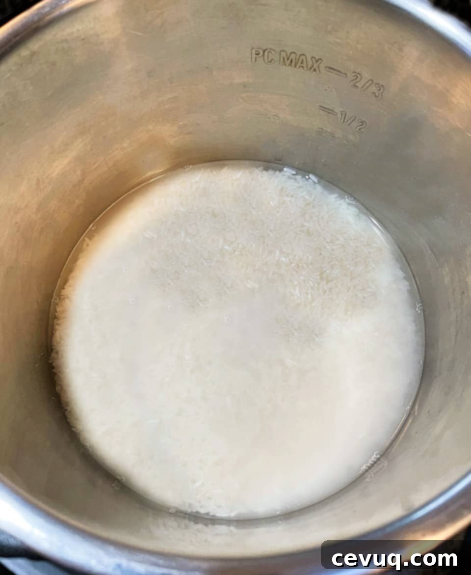 jasmine rice and water in an instant pot before cooking.