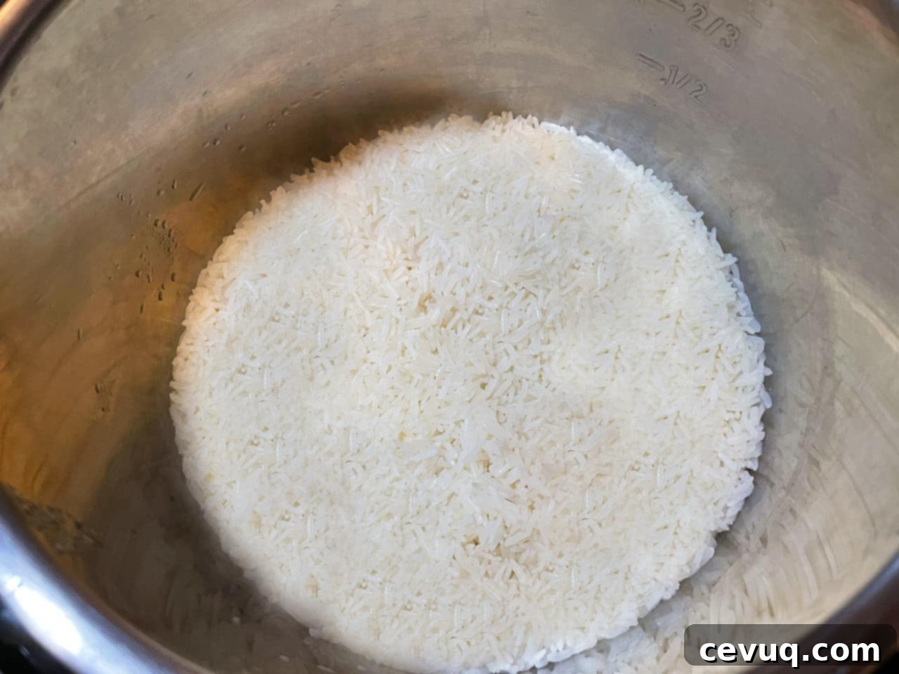 cooked jasmine rice in an instant pot.