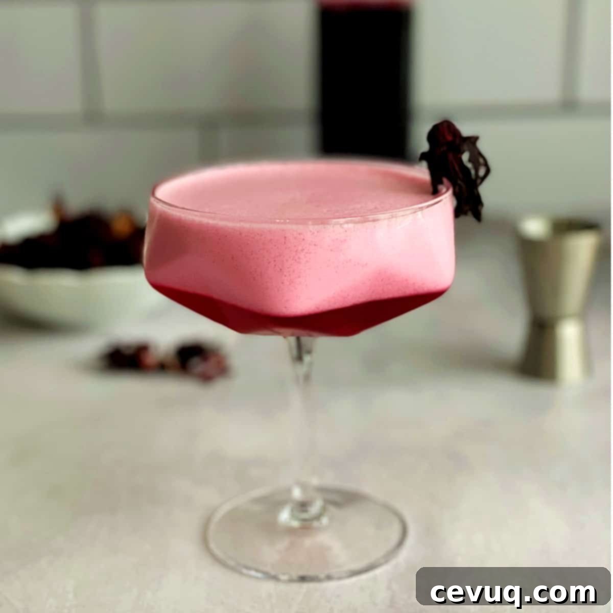 Πίσκο Σάουρ Ιβίσκου 2 hibiscus pisco sour
