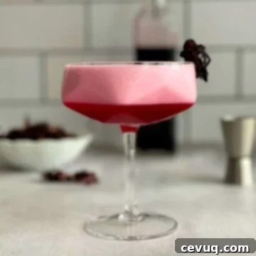 Πίσκο Σάουρ Ιβίσκου 5 hibiscus pisco sour in a cocktail glass