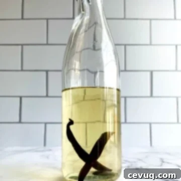 Σπιτική Βότκα Βανίλια 5 σπιτική βότκα βανίλιας με φασόλι βανίλιας