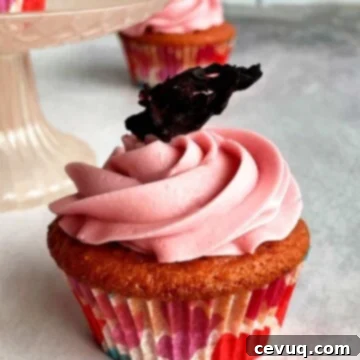 Κάπκεϊκς Ιβίσκου 6 cupcake ιβίσκου με αποξηραμένο άνθος ιβίσκου