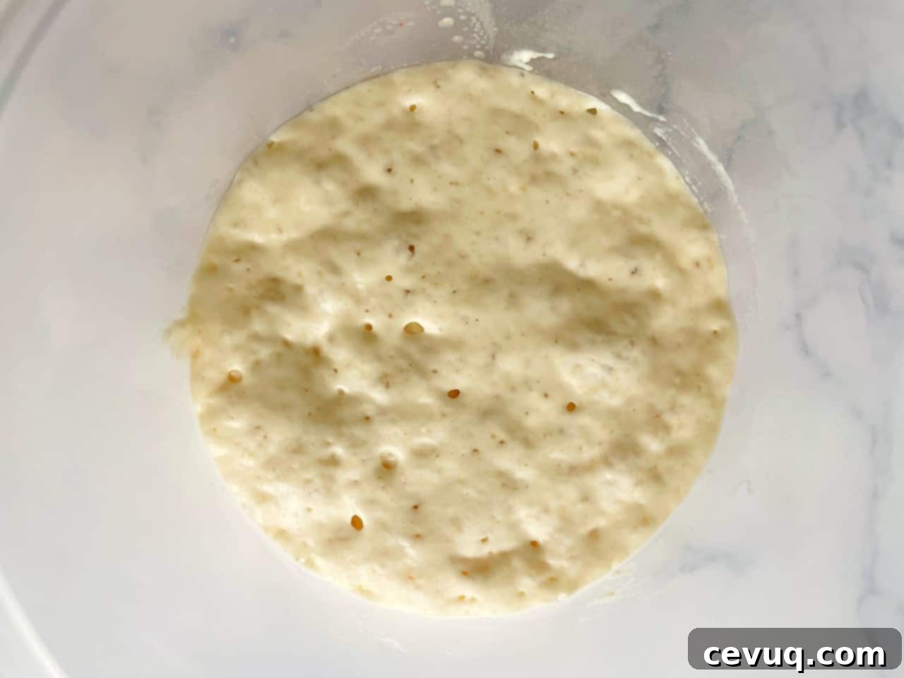 Πουλις Ζύμη Πίτσας 6 Poolish για ζύμη πίτσας μετά από 1 ώρα.