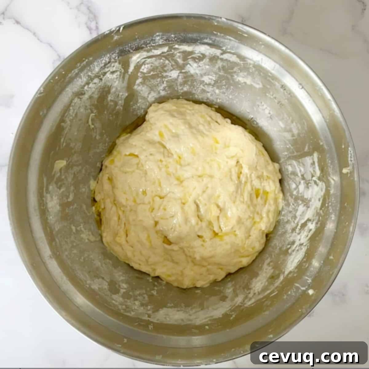 Πουλις Ζύμη Πίτσας 7 Ζύμη πίτσας poolish πριν το φούσκωμα.