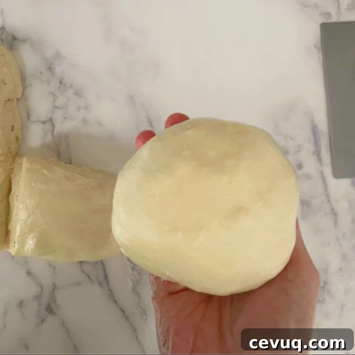 Πουλις Ζύμη Πίτσας 9 Στρογγυλή ζύμη πίτσας poolish.