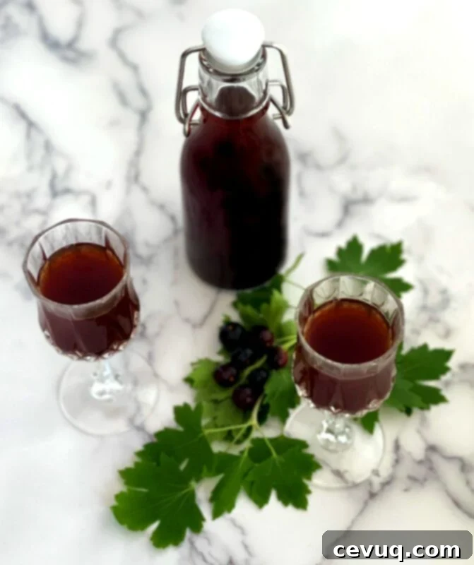 Σπιτικό Κρεμ ντε Κασίς 4 Σπιτικό Crème de Cassis σε μπουκάλι και ένα ποτήρι