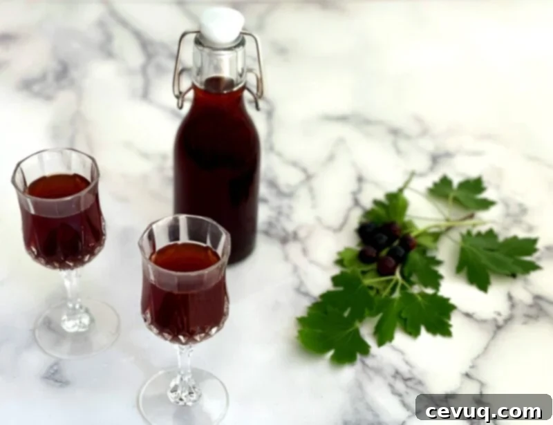 Σπιτικό Κρεμ ντε Κασίς 5 Σπιτικό Crème de Cassis σε ποτήρια πάνω σε τραπέζι