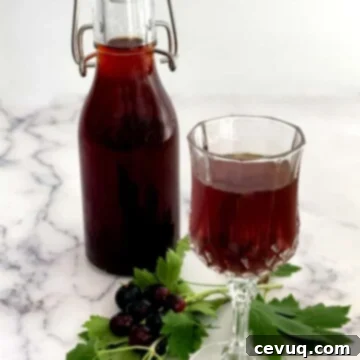 Σπιτικό Κρεμ ντε Κασίς 6 Σπιτικό Crème de Cassis σε ποτήρι