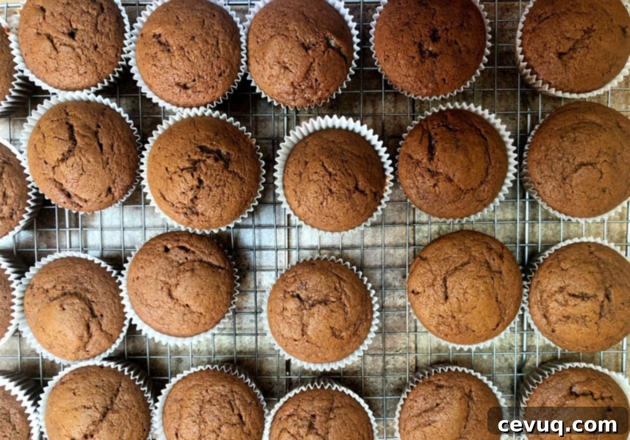 Μελασοκολοκυθένια Κεκάκια 8 pumpkin molasses cupcakes on a cooling rack.