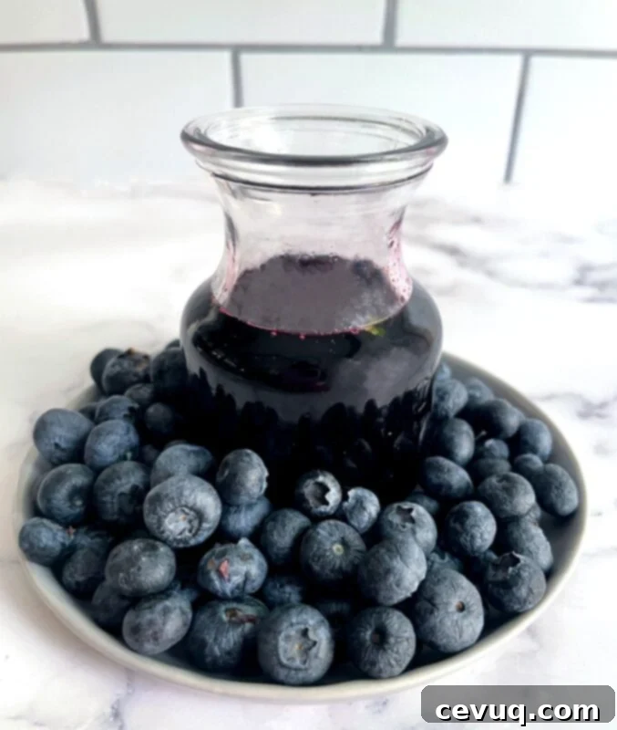 Ιταλική Σόδα Μύρτιλο 4 blueberry syrup and fresh blueberries.