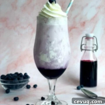 Ιταλική Σόδα Μύρτιλο 6 blueberry italian soda and cream