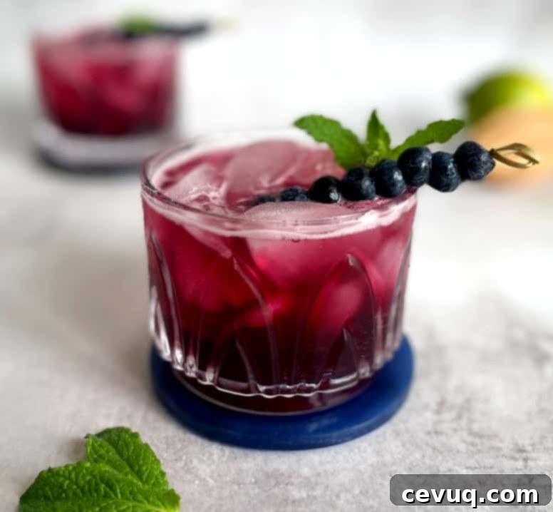 Απλό Σιρόπι Μύρτιλου 6 blueberry gin and tonic with blueberry garnish.