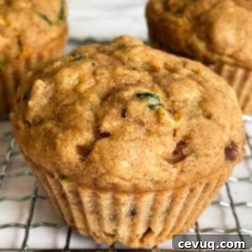 Βίγκαν Μάφινς Κολοκυθιού 6 vegan μάφιν κολοκυθιού