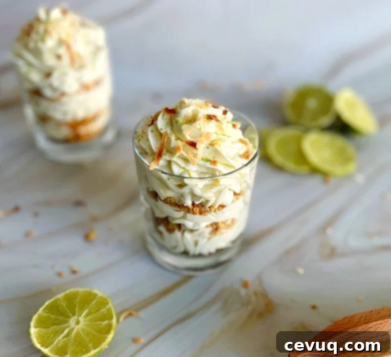 Δροσερά Παρφέ Τσίζκεϊκ Λάιμ-Καρύδα 2 no-bake coconut and lime parfait with toasted coconut on top .