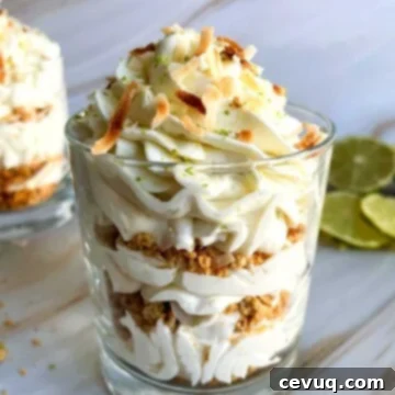Δροσερά Παρφέ Τσίζκεϊκ Λάιμ-Καρύδα 6 lime coconut parfait