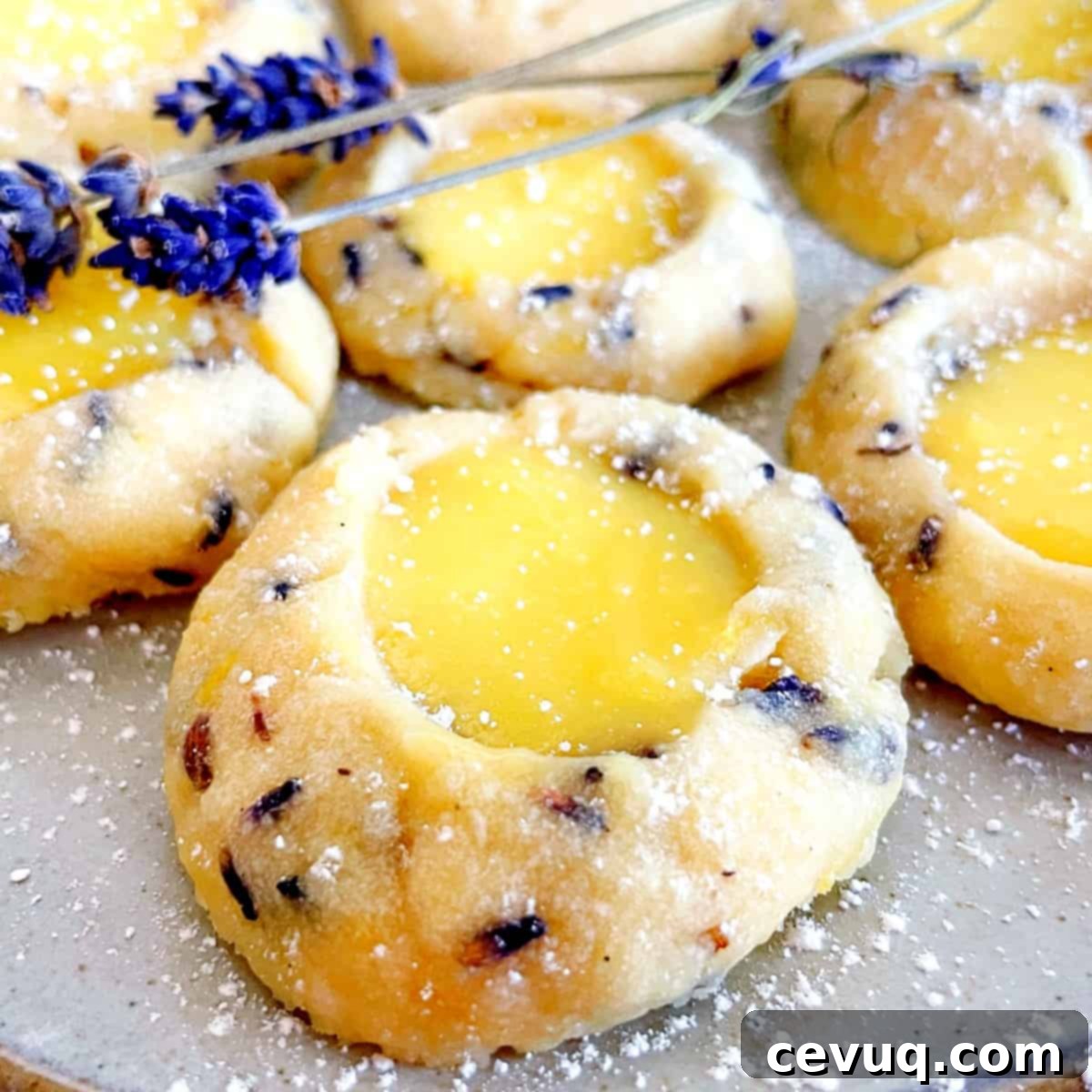 Μπισκότα Λεβάντας με Λεμονόκρεμα 7 lemon lavender shortbread cookie with lemon curd.