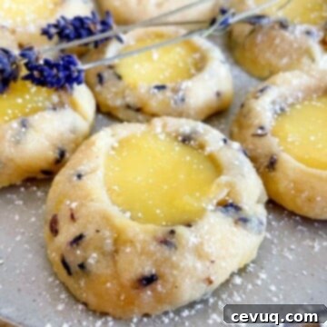 Μπισκότα Λεβάντας με Λεμονόκρεμα 8 lavender lemon curd cookies